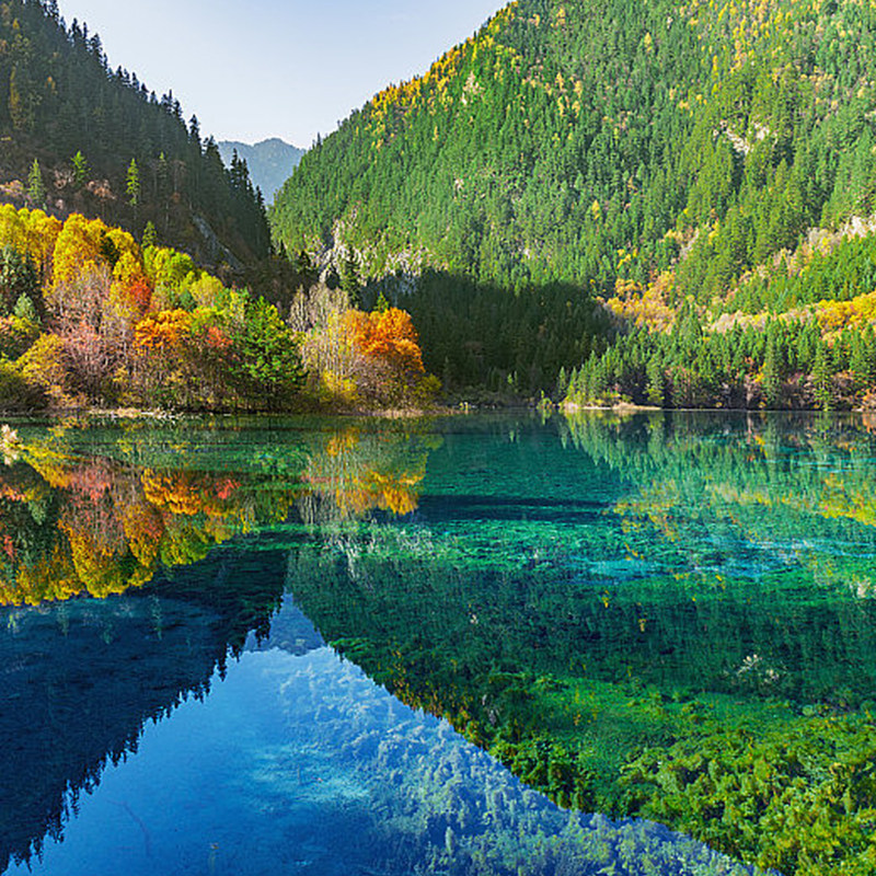 2-8人精品小团 九寨沟一日游 双动豪华往返纯玩