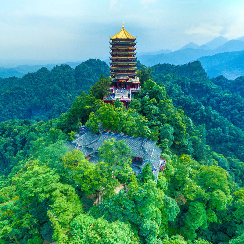 都江堰青城山熊猫基地熊猫乐园熊猫谷三星堆一日游门票纯玩跟团游