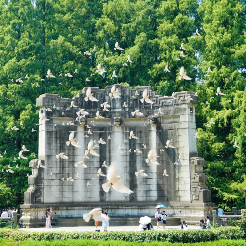 南京5日私家团含包车+导游/中山陵美龄宫/牛首山+大报恩寺+总统府