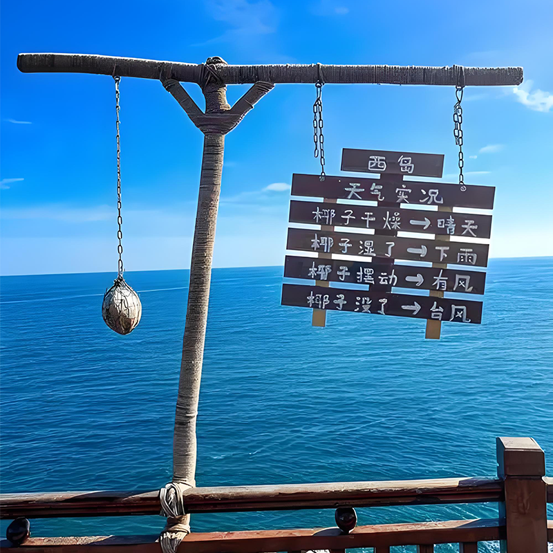 2-6人三亚旅游包车带司机5天4晚游纯玩小团海南半自由行私家团