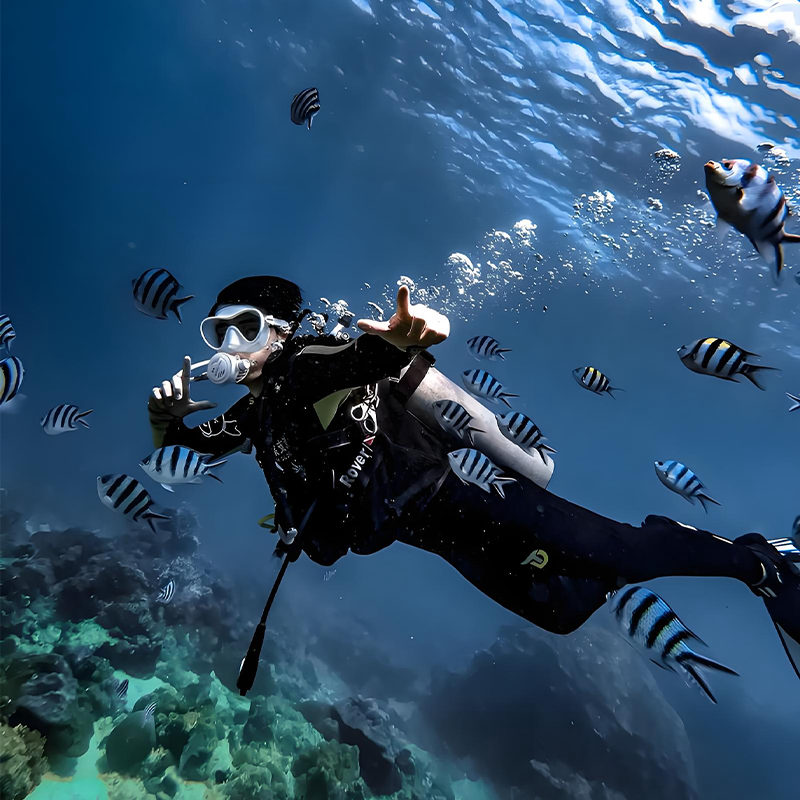 三亚5天4晚旅游小包团纯玩蜈支洲南山玫瑰谷猴岛游艇出海亚特西岛