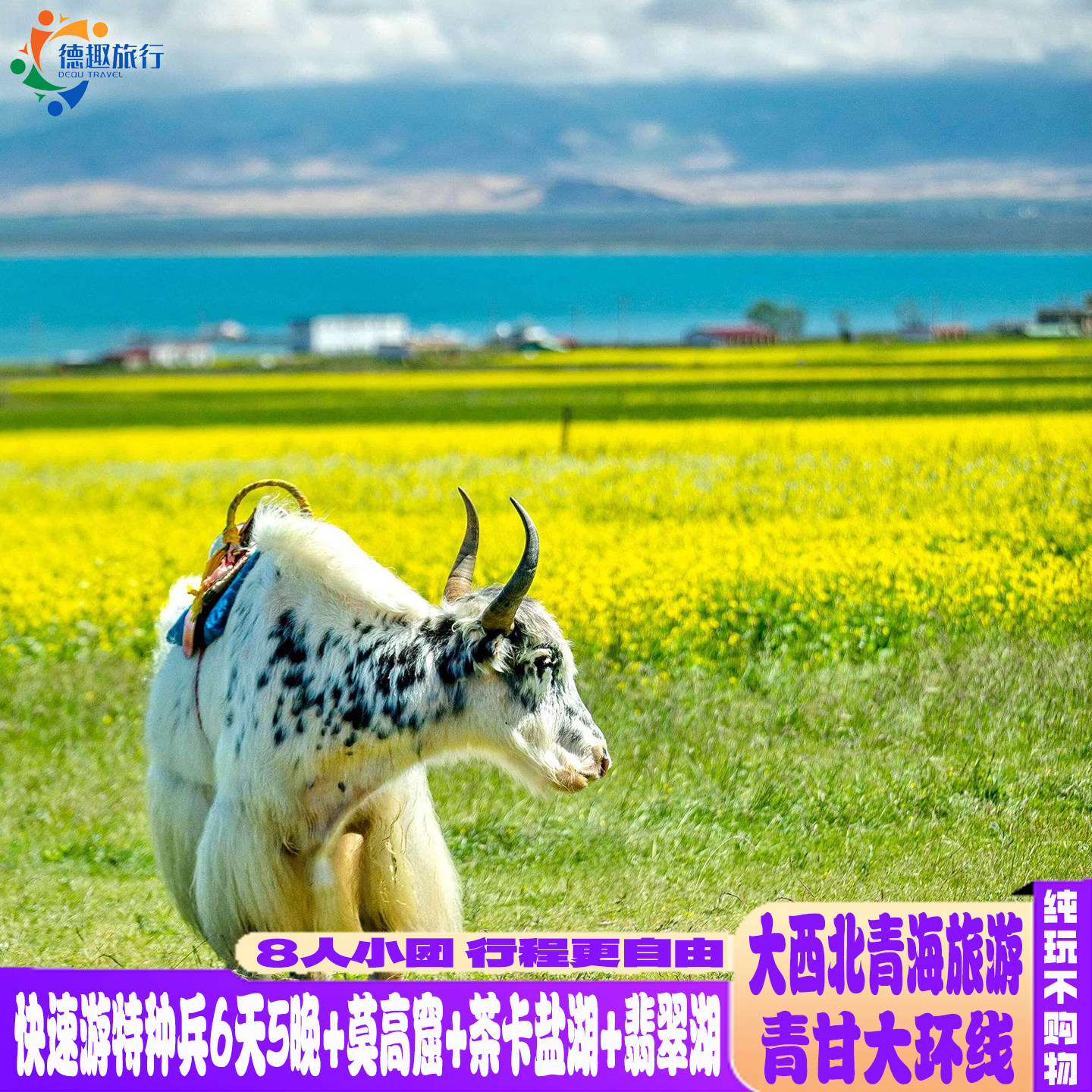 1-8人快速游特种兵6天5晚青海旅游VIP小团大西北青甘大环线莫高窟