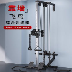Low pull down rowing machine, high pull down back training equipment, double pulley multi-functional wall fly bird comprehensive training device