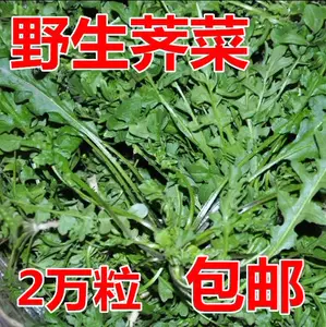 野生薺菜- Top 1000件野生薺菜- 2024年5月更新- Taobao