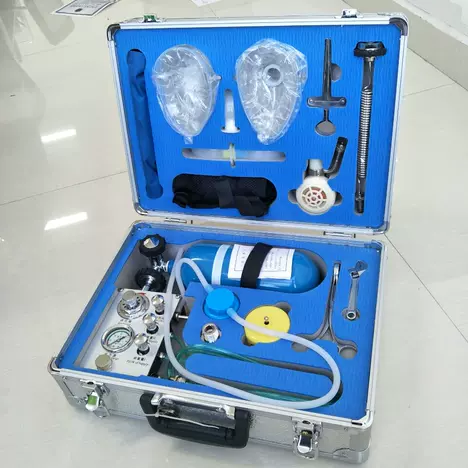 OEIN矿用MZS-30自动苏生器煤矿井下便携紧急吸氧装置矿井心肺复苏仪 配套氧