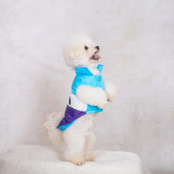 Dog Clothes Warm Pet Clothing Winter Fashion Windproof Dog Clothes Small and Medium Dog Clothes Pet Clothing