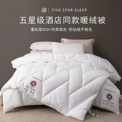 Class a Five-Star Hotel Space Quilt Core, Spring and Autumn Quilt, Thickened Warm Winter Quilt, Feather Velvet Quilt, Cotton Quilt for Winter