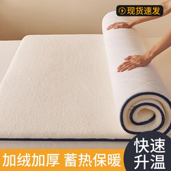 Lamb Wool Mattress Topper, Winter Fleece Mattress Pad, Milk Velvet Bed Sheet, Blanket, Coral Fleece Mattress Cover for Bed Use