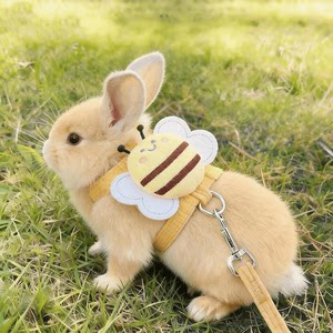 
Rabbit traction rope, special products for walking rabbits, anti-breakaway, small white dwarf rabbit clothes, pet walking rabbit, rabbit outing rope chain