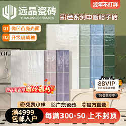 Yuanjing 400X800 French-Style Glazed Checkered Tiles Kitchen and Bathroom Wall Tiles Enamel Tiles Balcony Floor Tiles
