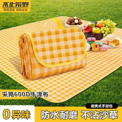 Picnic Mat, Outdoor Mat, Moisture-Proof Mat, Tent Thickened Mat, Outdoor Waterproof Cloth, Grass Mat, Beach Camping Mat