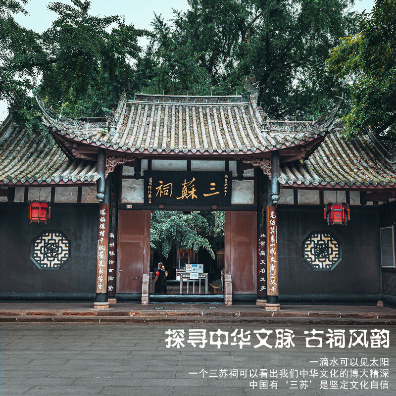 2-6人小团纯玩乐山大佛一日游峨眉山黄龙溪三苏祠成都周边跟团游