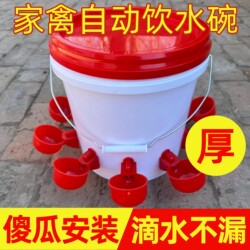 Automatic Breeding Waterer and Feeder Combo for Poultry, Chicken Drinking Bowl, Chick Water Feeding Trough Device