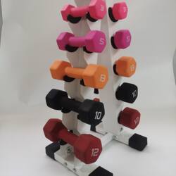 Dumbbell Rack for Home Use, Floor-Standing Two-Tier Dumbbell Stand, Dumbbell Holder, Fitness Equipment Storage