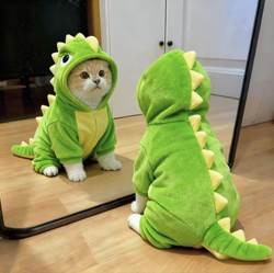 Cat Clothes, Autumn and Winter Style, Dinosaur Transformation Outfit, Thickened to Prevent Shedding, for Cats, Bichon Frise, Small Dogs, Pet Winter Clothing