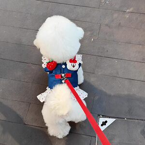
Dog leash, pet harness, dog walking artifact, small and medium-sized dog dog clothes, Bichon Teddy, summer dog walking