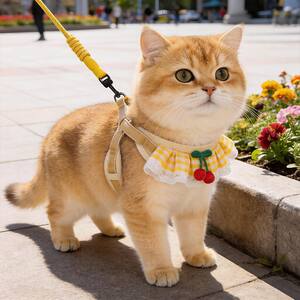 
Dog leash harness cat vest type Pomeranian Teddy Bichon dog walking rope small and medium-sized dog chain