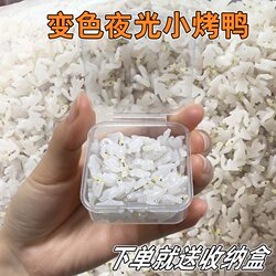 2025 New Mini Color-Changing Roast Duck Pendant, Changes Color When Exposed to Light and Ultraviolet Rays, Roast Goose Duck Keychain Small Pendant Toy