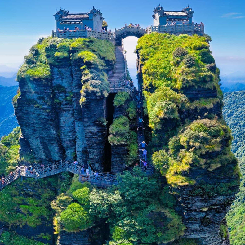 贵州旅游/贵阳出发/梵净山纯玩一日游 含蘑菇石+红云金顶+老金顶