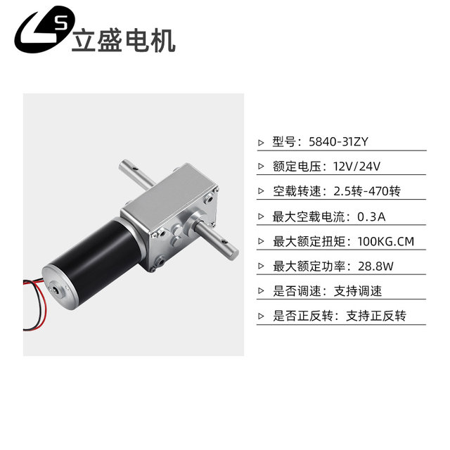 Double Shaft 33MM Length 5840-31zy DC 12V 24V Worm Gear electronic