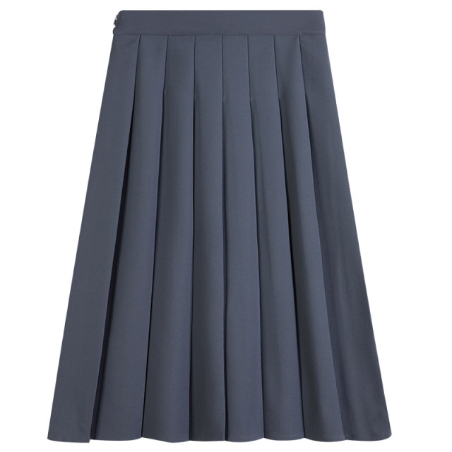 Gray pleated skirt women's long skirt summer 2023 new high-waisted slim spring and autumn skirt small a-line umbrella skirt