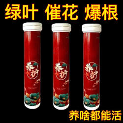Slow-Release Fertilizer Tablets for Home Gardening, General-Purpose Nitrogen, Phosphorus, and Potassium Fertilizer for Succulent Potted Plants and Organic Flowers