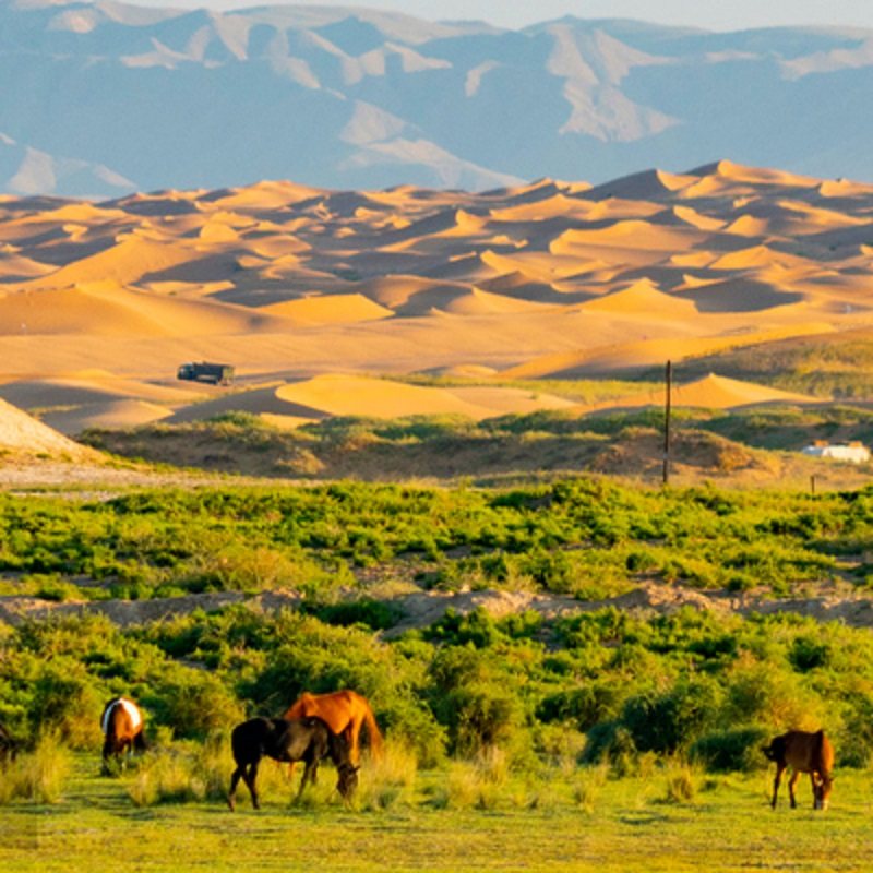 玩转宁夏银川+吴忠+中卫纯玩双飞6天
