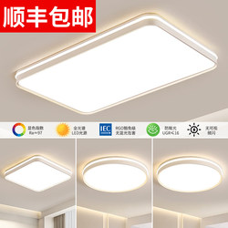 Zhongshan Lighting Living Room Lamp 2025 New Model Modern Simple and Elegant Whole House Eye Protection Package Ceiling Lamp Main Light Collection