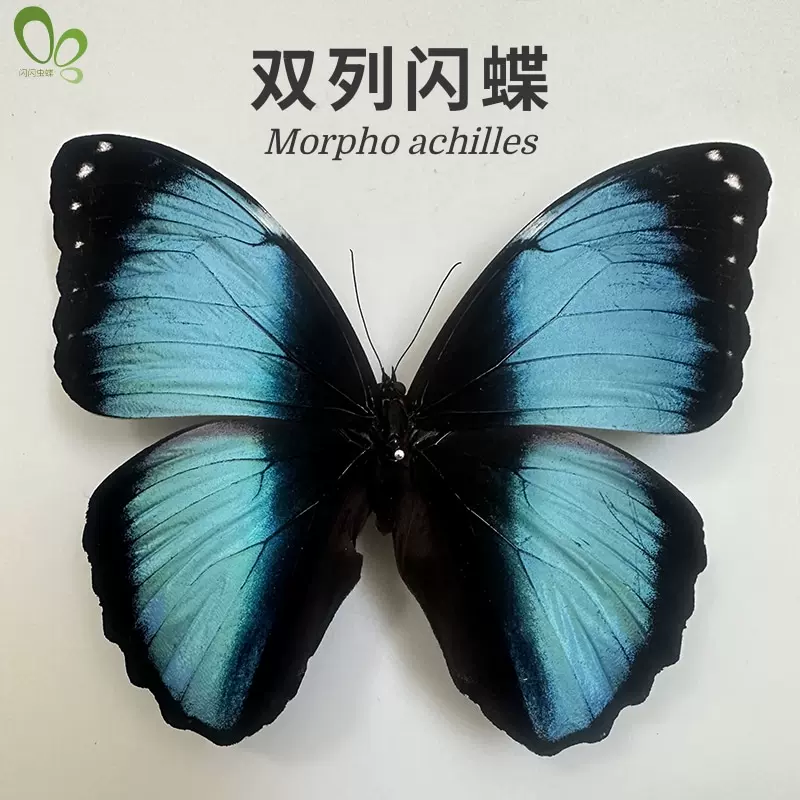 O1CN01QKwEwI1ljdr7wR0uC_!!