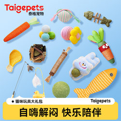 Cat Toy Set for Self-Entertainment, Cat Teaser Stick, Kitten Toys, Pet Feather Toys, Complete Collection of Kitten and Cat Supplies