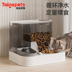 Cat Bowl, Dog Bowl, Cat Food Dish, Automatic Cat Food Feeder, Water Dispenser, Integrated Pet Stainless Steel Drinking Double Bowl