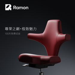 Ramon Riding Chair Computer Chair Ergonomic Chair Backrest Office Chair Executive Chair Home Seat