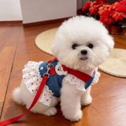 Pet Harness Dog Clothes Thin Denim Cartoon Leash Dress for Bichon Teddy Kittens Spring and Summer Wear with Leash Attachment