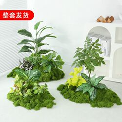 Simulated Moss Plant Landscaping Flower Trough Combination Partition Decoration Micro-Landscape Bionic Green Plant Indoor Landscaping Bonsai