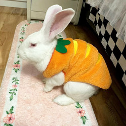 Special Clothes for Pet Rabbits, Winter Vests for Small Dwarf Rabbits and Lop-Eared Rabbits to Prevent Colds