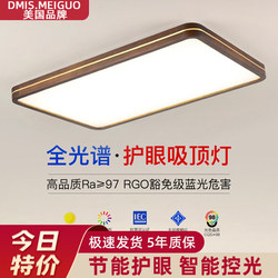 2025 New Model Led Ceiling Light for Room, Bedroom, Living Room, Hall, Modern Minimalist Chinese-Style Zhongshan Lighting 2