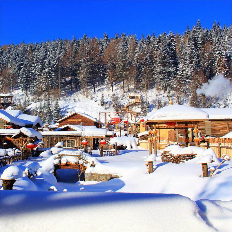 含机票 东北哈尔滨旅游雪乡亚布力滑雪漠河北极村6天5晚跟团游