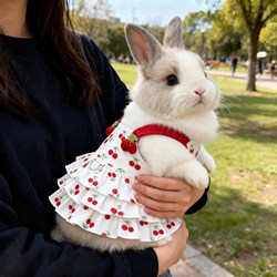 Little Rabbit Clothes for Spring and Summer, Sweet and Cute Princess Dress, Thin Style, Specially Designed for Lop-Eared Rabbits and Dwarf Rabbits, Anti-Shedding