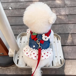 Dog Leash Clothes Denim Skirt Harness Teddy Bichon Small Dog Cat Pet Princess Dress Thin Style