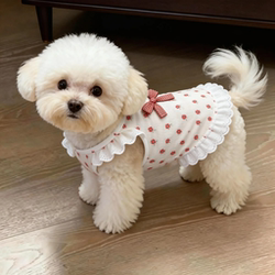 Dog Clothes Summer Thin Floral Dress Teddy Bichon Pomeranian Small Dog Cat Dress Pet Anti-Shedding