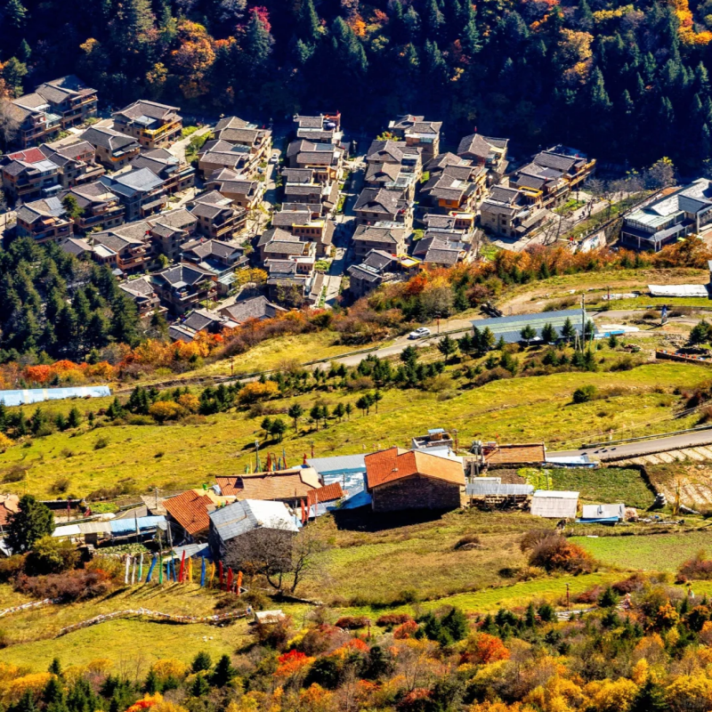 达古冰川+毕棚沟+羊茸哈德+奶子沟2.5日游·含索道+观光车