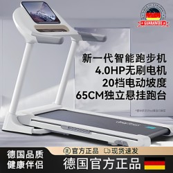 German Treadmill, Small Indoor Multi-Functional Walking Machine, Ultra-Quiet, Home-Use Model, Foldable Climbing Machine for Gym Use