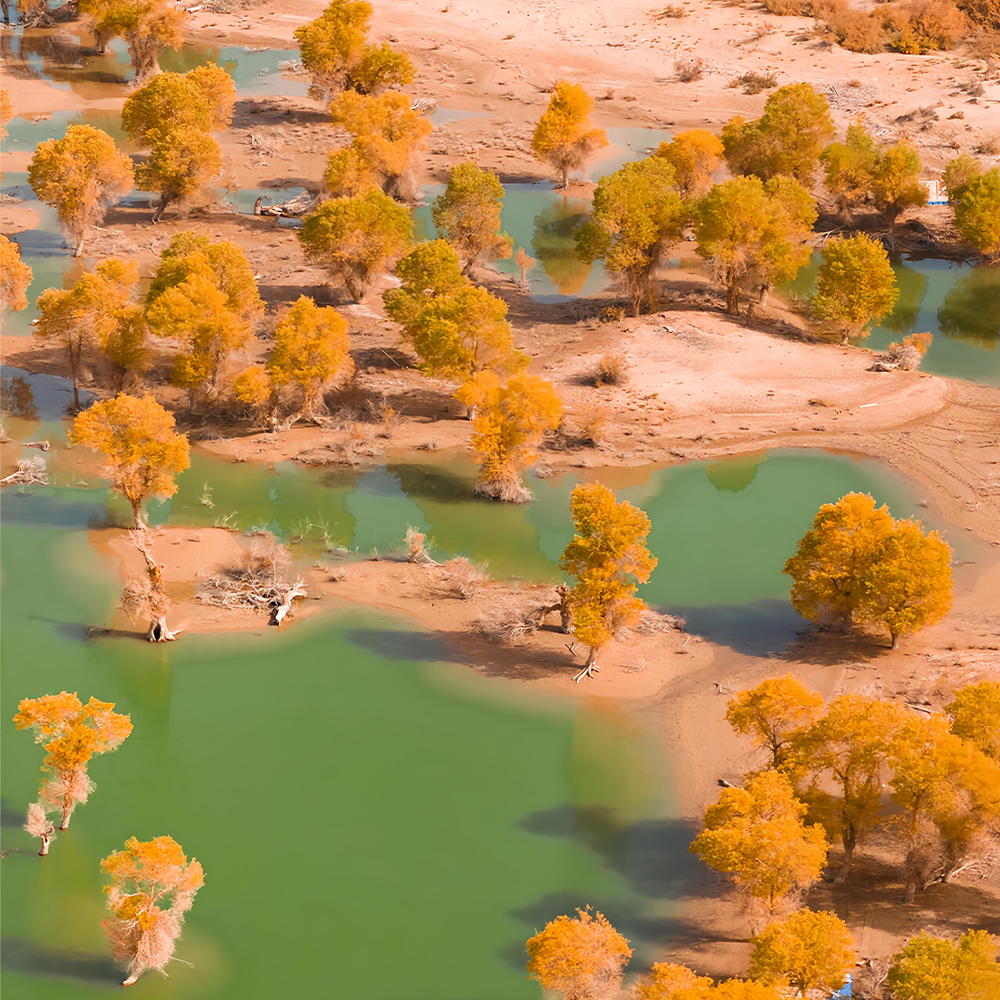 全国出发6人团 南疆喀什胡杨林塔县帕米尔7天6晚新疆跟团纯玩旅游