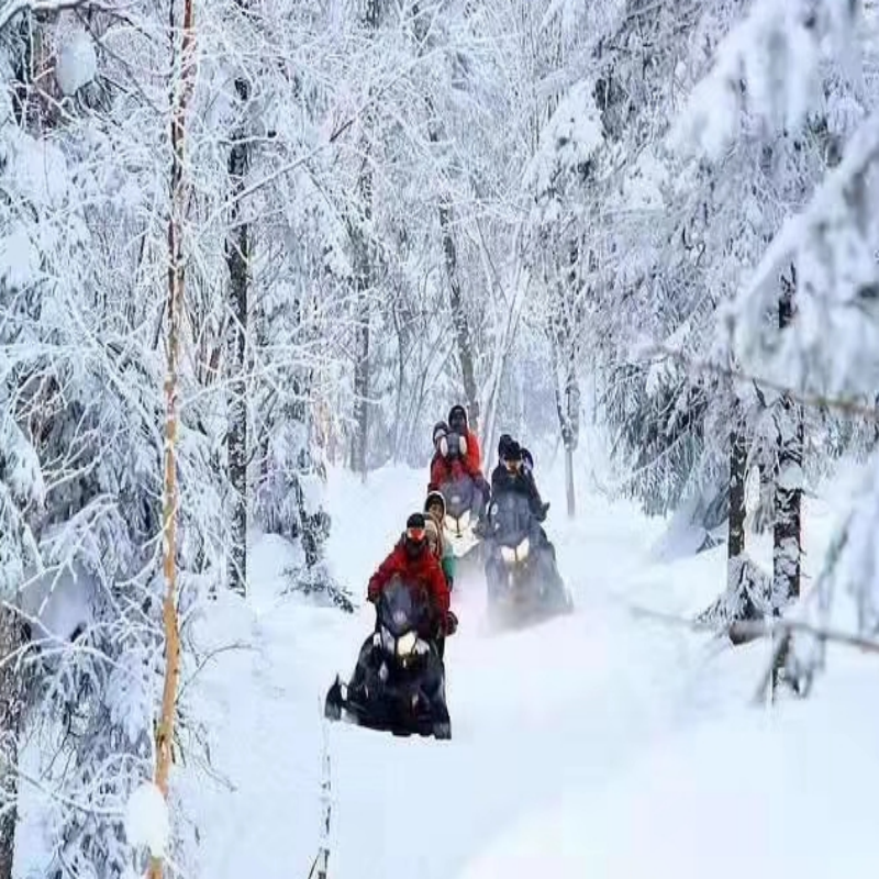 哈尔滨+长白山+延吉+雪乡+长春6日游/2+1陆地头等舱/多套餐可选