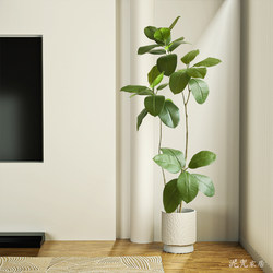 Simulated Green Plant Rubber Tree, High-End Light Luxury Living Room Decoration, Large Floor-Standing Wabi-Sabi Style Artificial Plant, Fake Green Plant
