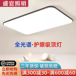 Upgraded 2025 New Led Ceiling Light for Room, Bedroom, Living Room, Modern, Simple and Elegant Zhongshan Lighting Fixtures