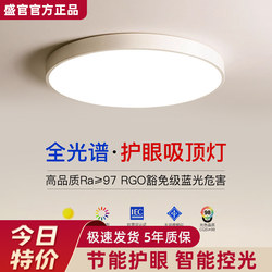 Led Ceiling Light Room Bedroom Light Main Living Room Light Hall Modern Simple and Elegant 2025 New Zhongshan Lighting Fixtures 6