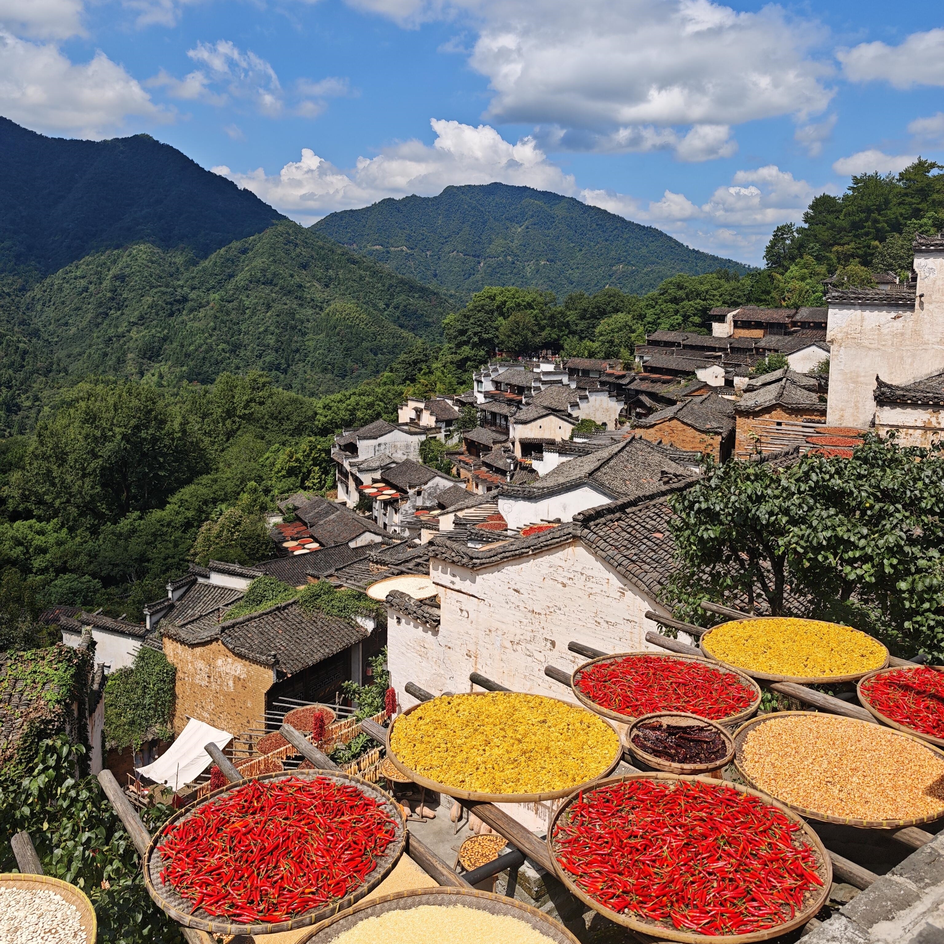 江西旅游庐山景德镇婺源篁岭三清山望仙谷6天5晚无购物跟团游