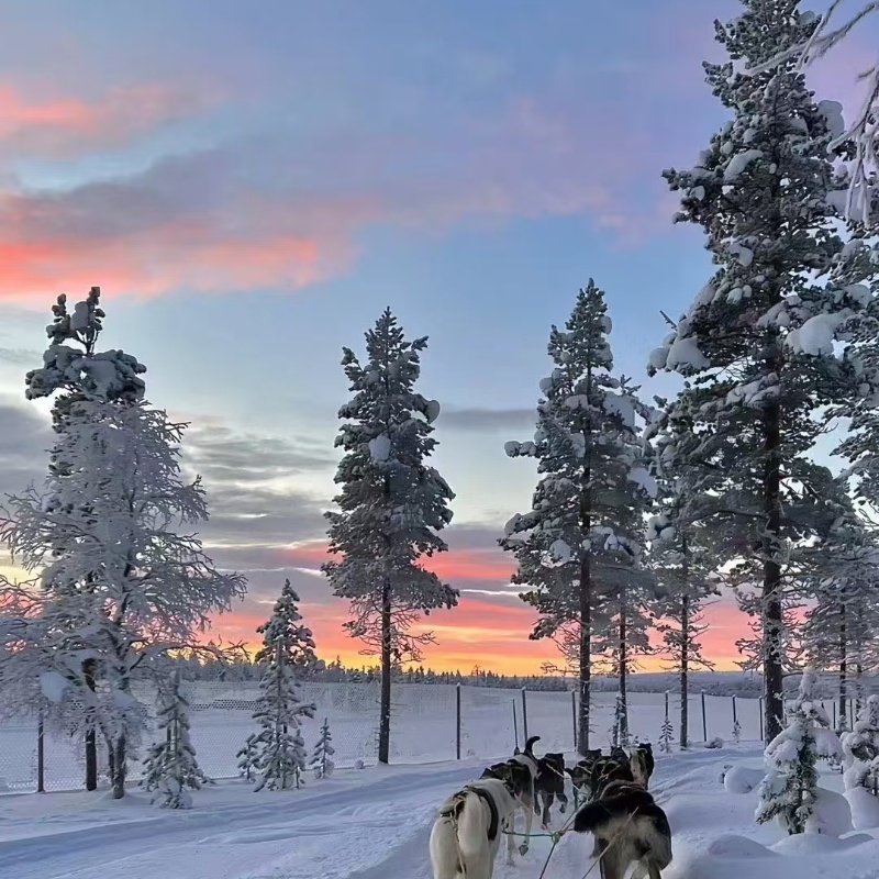 亚布力雪乡2日游|滑雪+雪地摩托+马拉爬犁+土匪互动抢亲+二人转