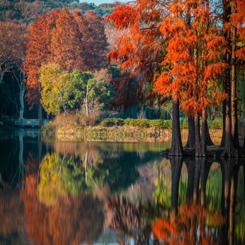 |南京+扬州+无锡+沪苏杭|瘦西湖|鼋头渚|乌镇|西塘|3钻酒店